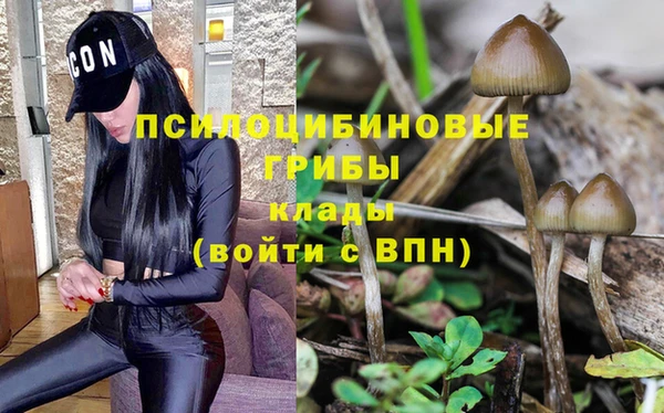 кокс Алзамай